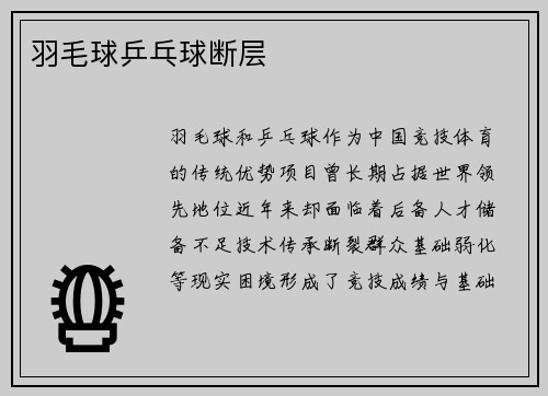 羽毛球乒乓球断层